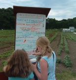 Checking the list at the kiosk